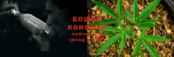 ешки Мегион
