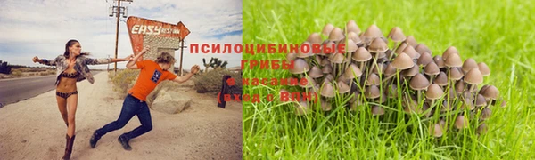 таблы Медвежьегорск